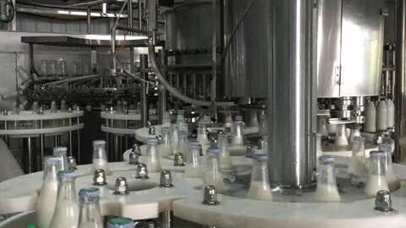 成都面条机批发市场：揭秘批发价格背后的秘密