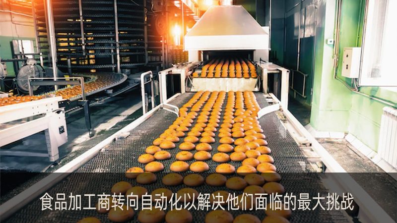 食品输送机哪家厂家好
