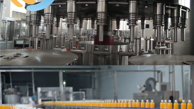 揭秘国内果蔬加工设备排名背后的秘密
