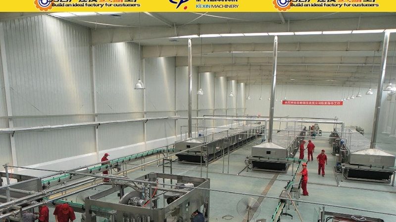 食品输送设备选型：如何规避常见误区**